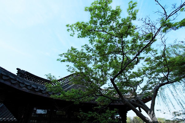 扬州：瘦西湖2