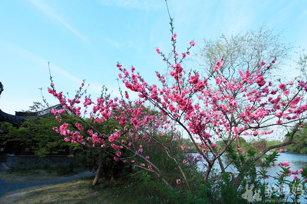 扬州：瘦西湖4