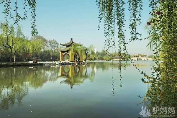 扬州：瘦西湖8
