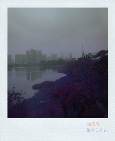 深圳广州的那些美丽的瞬间11