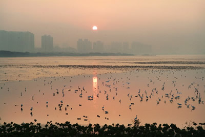 深圳哪些地方好玩 High翻深圳，2012最新最全深圳旅游攻略17