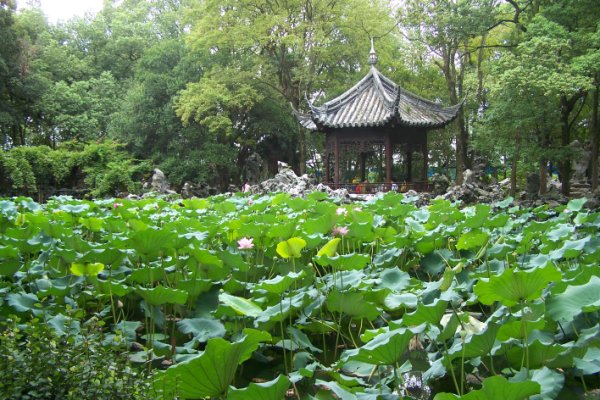南浔印象1