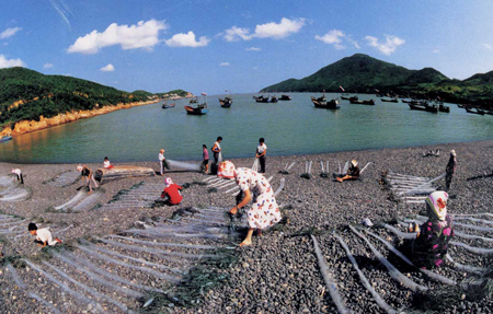 美丽舟山：海天佛国海岛游1