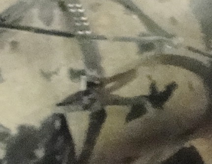 西安第二日之兵马俑3