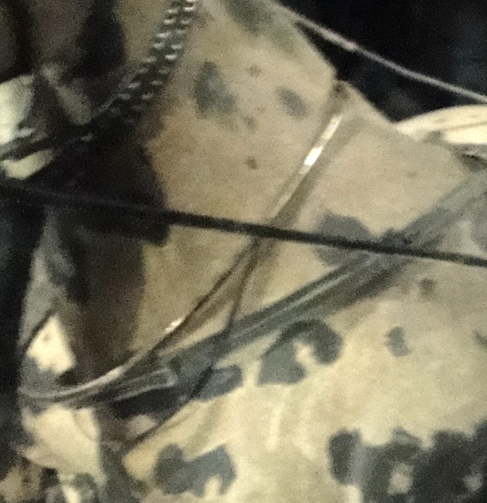 西安第二日之兵马俑4