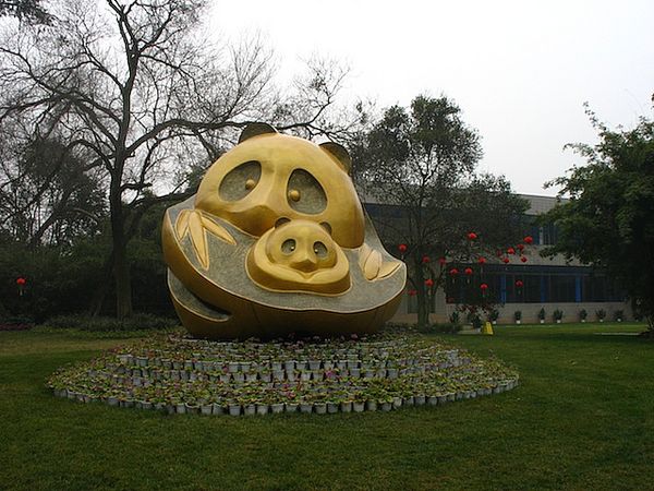 可爱的国宝－－大熊猫4