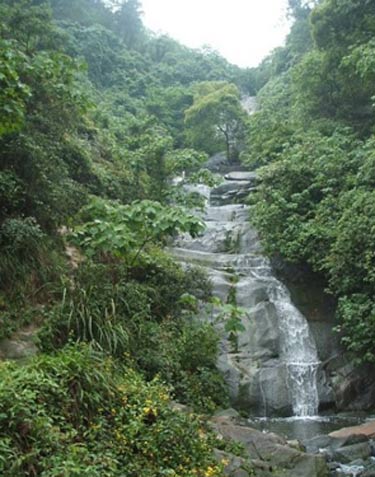 “山城绿宝石”——歌乐山景区(图)　2