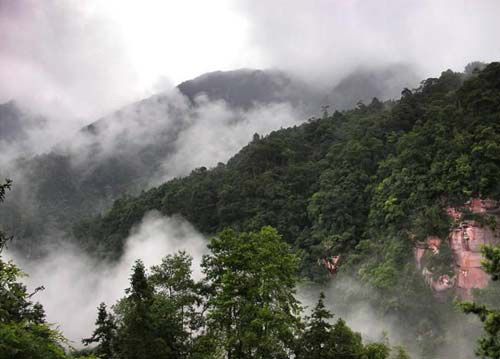 “川东小峨眉”——缙云山(图)1