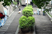 观电影《日照重庆》 漫游重庆看山城风情3