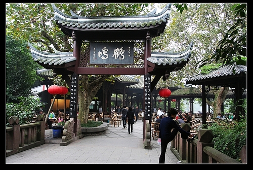 最成都游玩篇--熊猫基地2