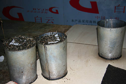 西双版纳 普洱茶山13