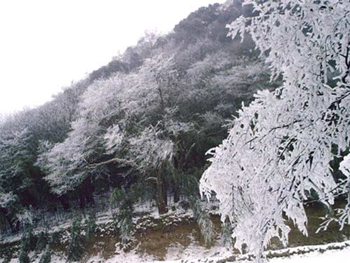 冬季也浪漫 重庆周边去玩雪2