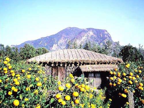 韩国的夏威夷，畅游魅力济州岛3
