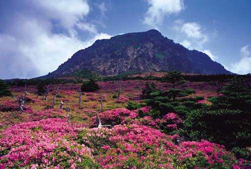 韩国的夏威夷，畅游魅力济州岛4