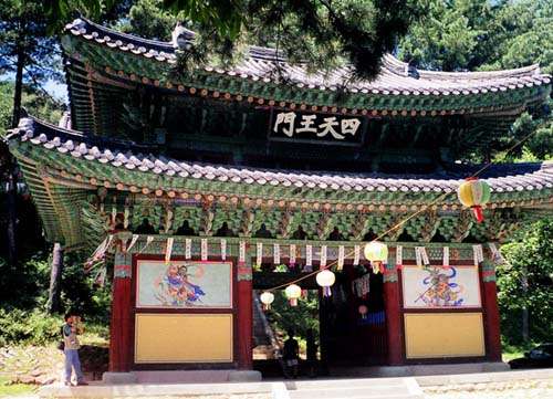韩国的夏威夷，畅游魅力济州岛6