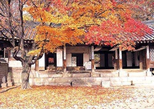 韩国枫叶浪漫诱惑 寻找金秋第一抹红4