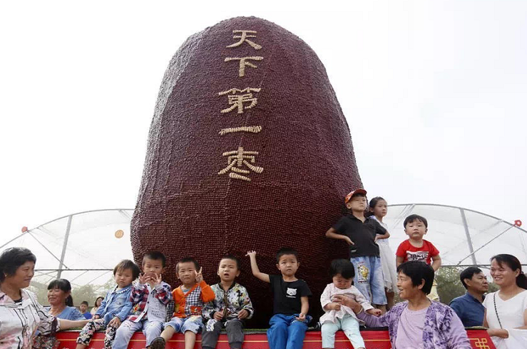 郑州天下第一枣