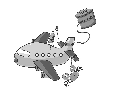 飞机上能带白酒吗