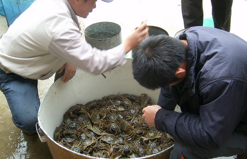 坐飞机可以带螃蟹吗