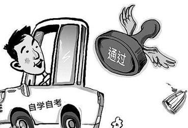 驾照自学直考多少钱
