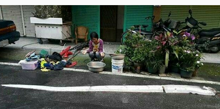 台渔民钓上地震鱼