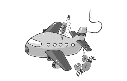 瓶装酒可以带上飞机吗