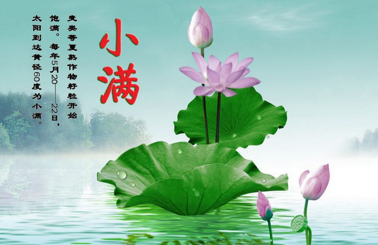 2015年小满是几月几日1