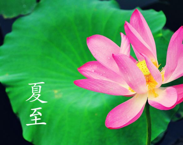 夏至数九歌1