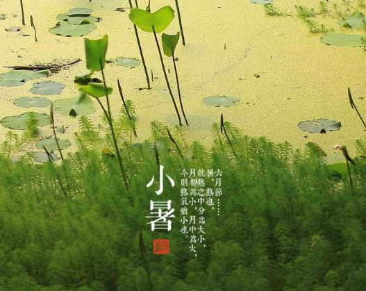 2015年小暑节气是哪一天1