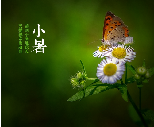 2015小暑节气是什么时候1