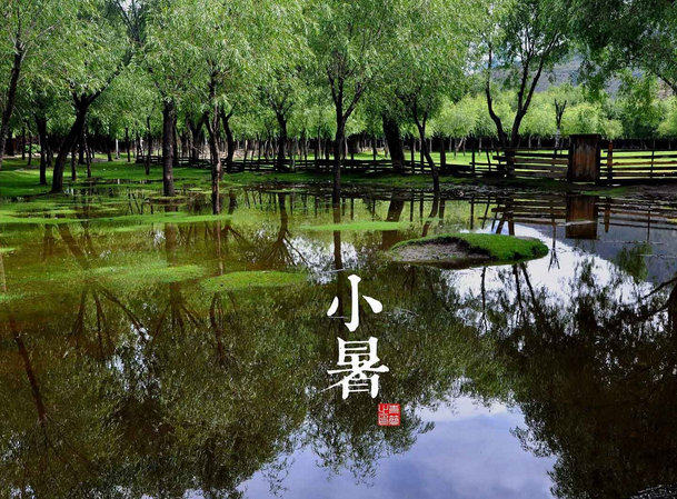 2015小暑是几月几号1