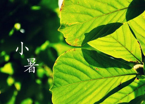2015小暑是什么时候1