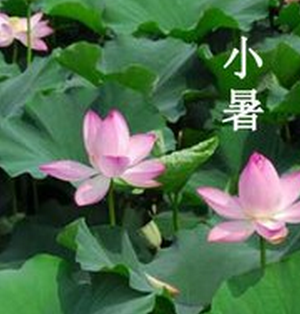 小暑节气时间1