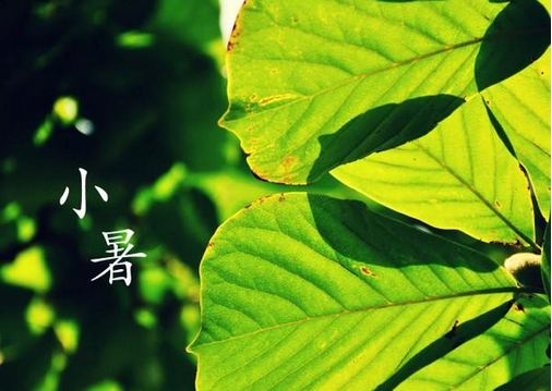 2015小暑节气时间1