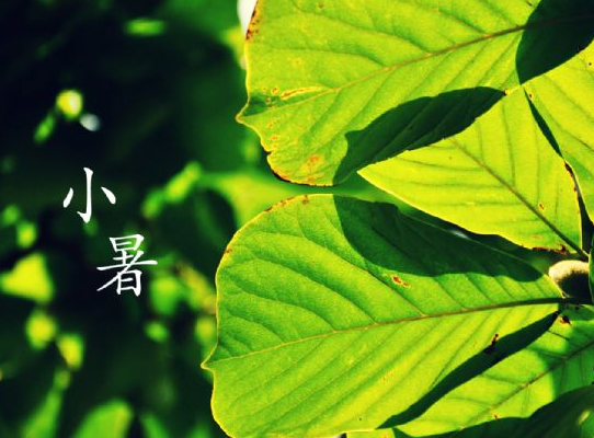 2015年小暑吃什么好1