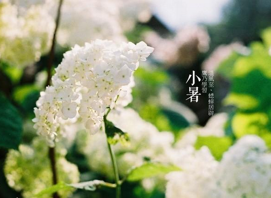 2015年小暑节气是哪天1