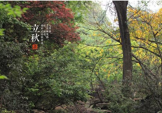 2015年立秋在哪天1