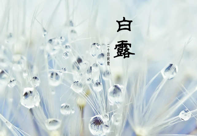 白露节气养生短信1
