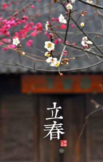 2016立春在几点1