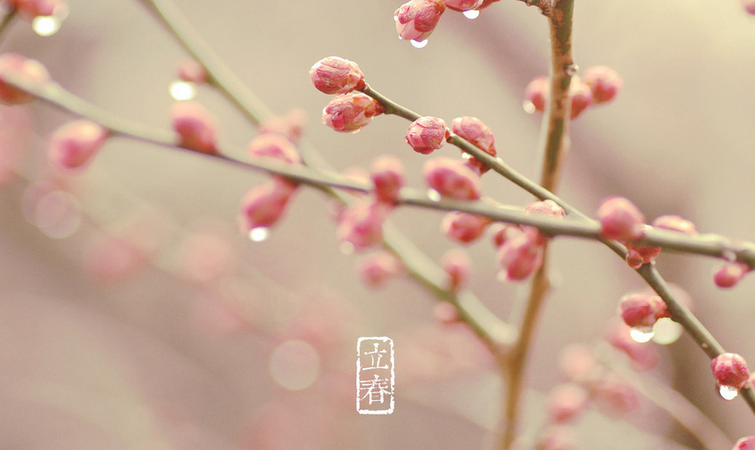 2016立春具体时间1