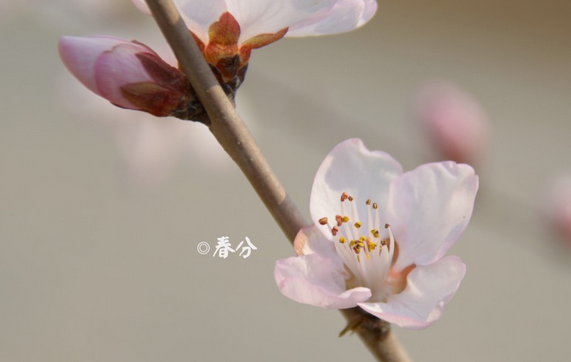 2016春分是哪一天1