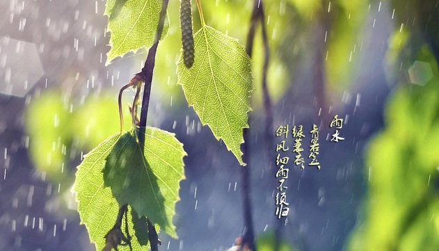2016雨水在几点1