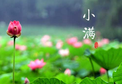 小满节气吃什么好1