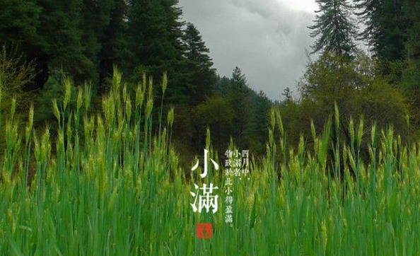 小满节气养生原则1