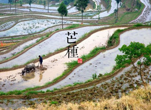 2016年芒种是在阳历的几月1