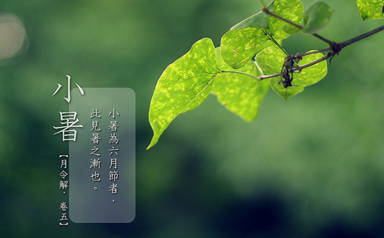 2016小暑在几点1