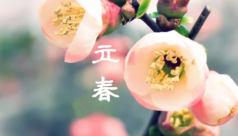 2017年什么时候立春啊1