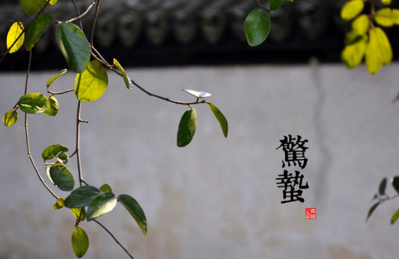 2017惊蛰是几点1