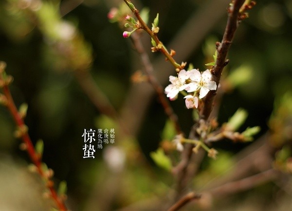 北方惊蛰天气还冷吗1