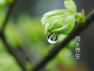 雨水节气吃什么1